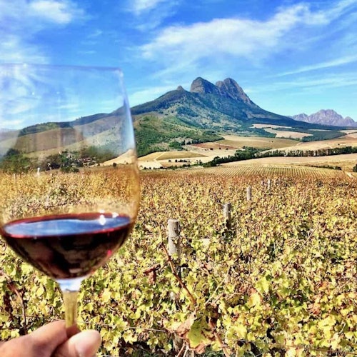 Cape Town: Small-Group Aquila Safari Tour with Wine Tasting — gallery 3