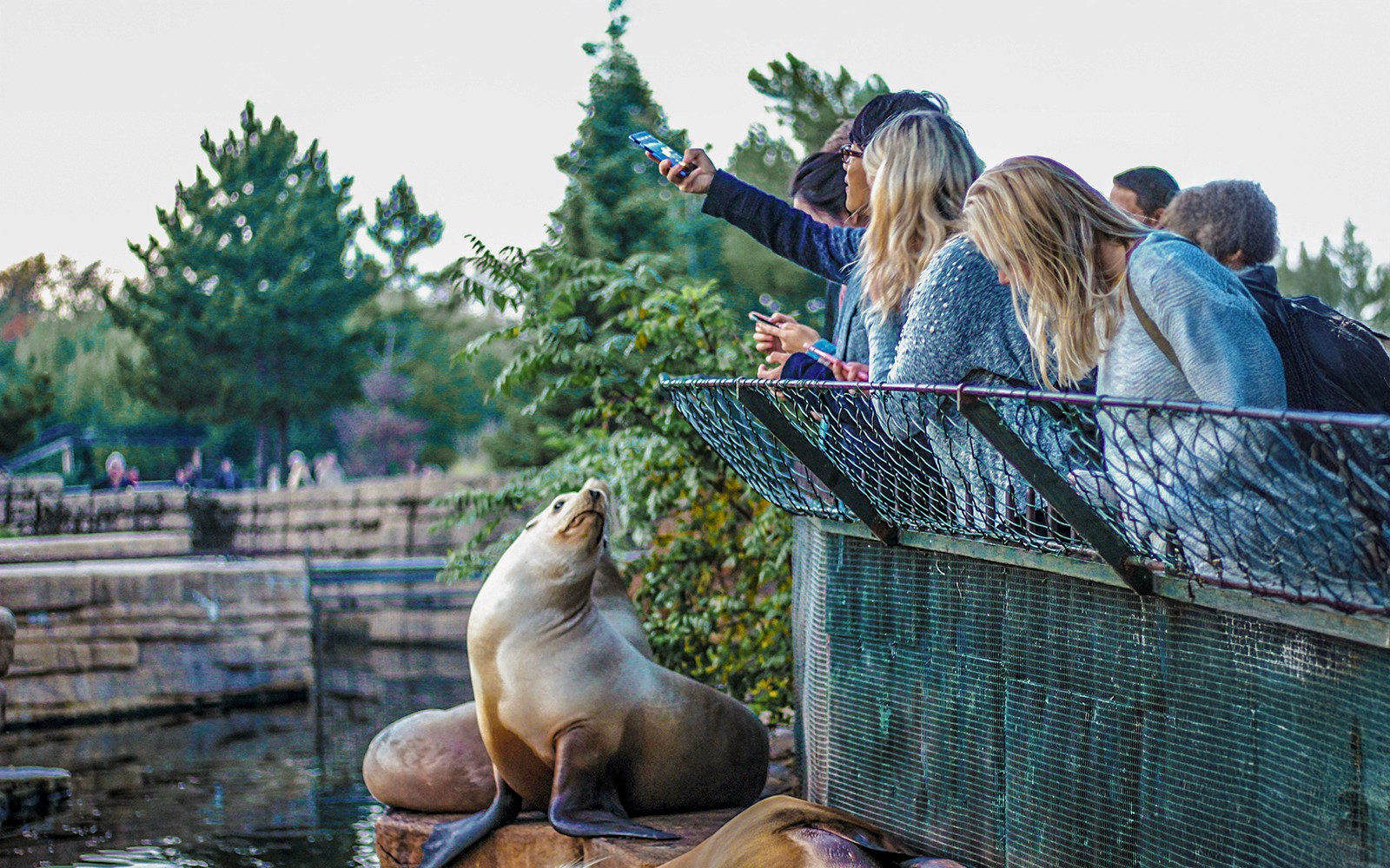 Madrid Zoo Aquarium Entry Tickets — gallery 4