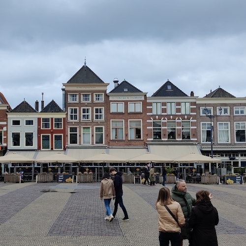 Delft: Guided City Walking Tour