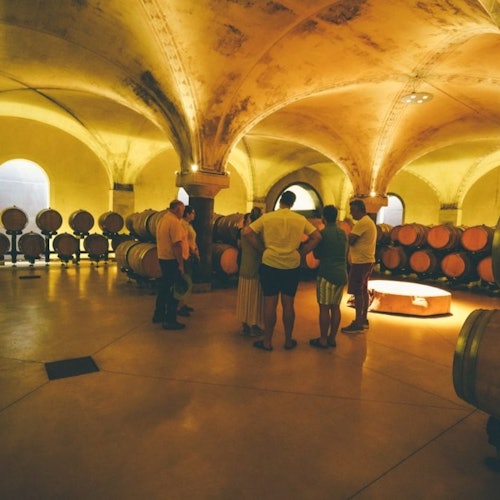 Amarone Wine-Tasting Tour from Verona — gallery 2