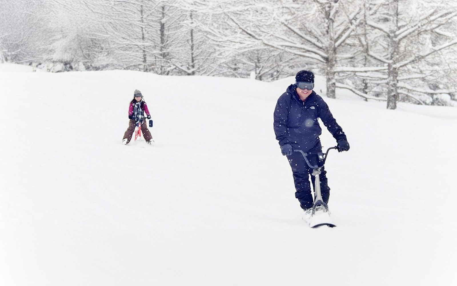 Nagano Snow Monkey Park & Shiga Kogen Maruike Park Day Tour — gallery 2