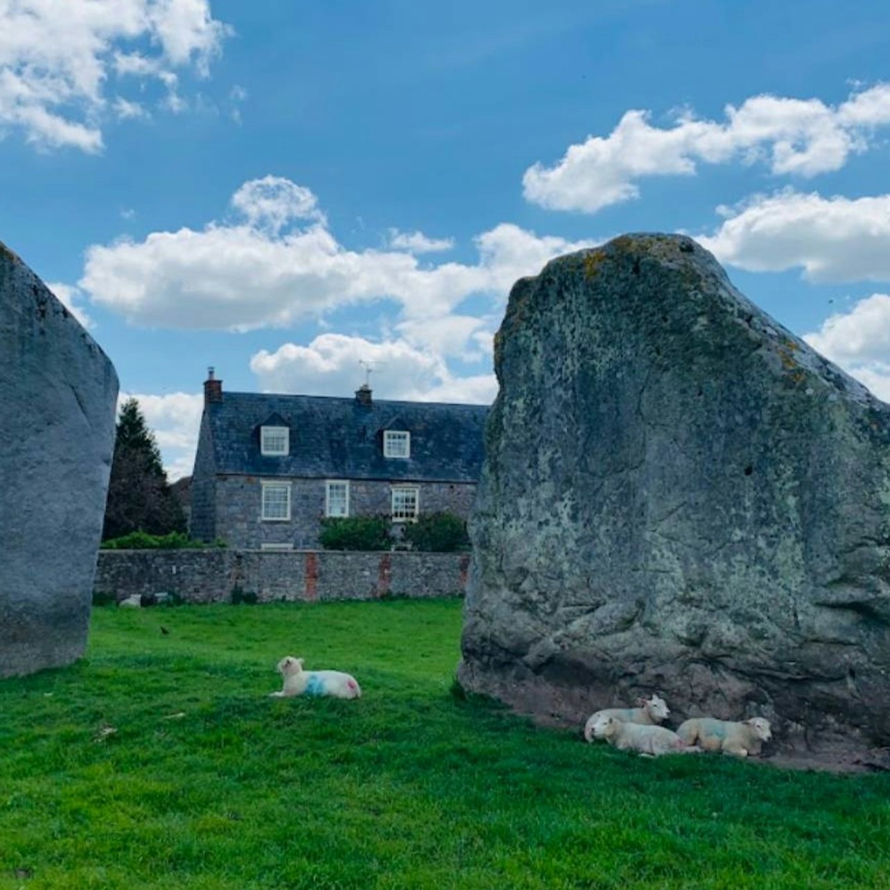 Stonehenge & Stone Circles of Avebury: Guided Day Trip from London