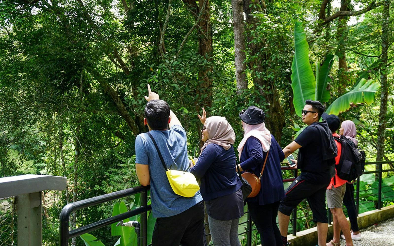 The Habitat Penang Hill Tickets