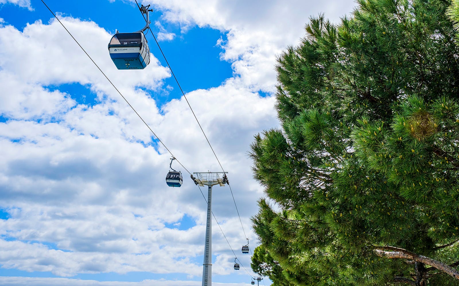 Tickets to Telecabine Cable Car