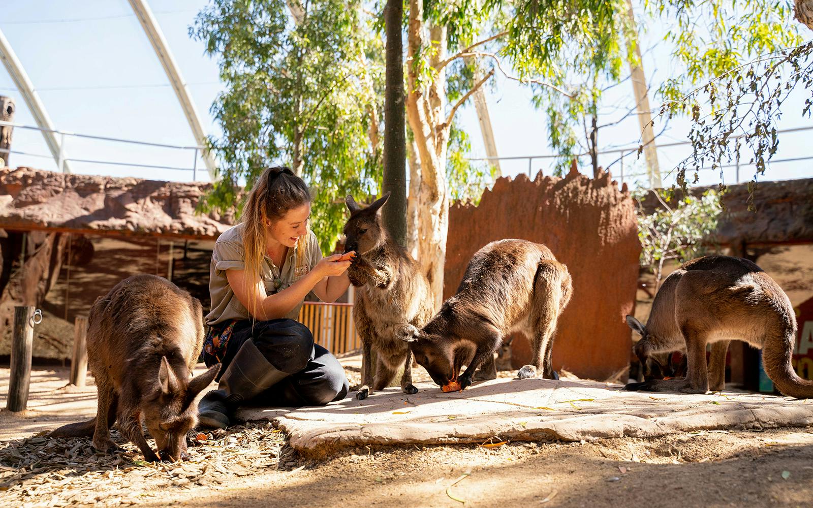 [Save upto 55%] Sydney 4 Attractions Pass