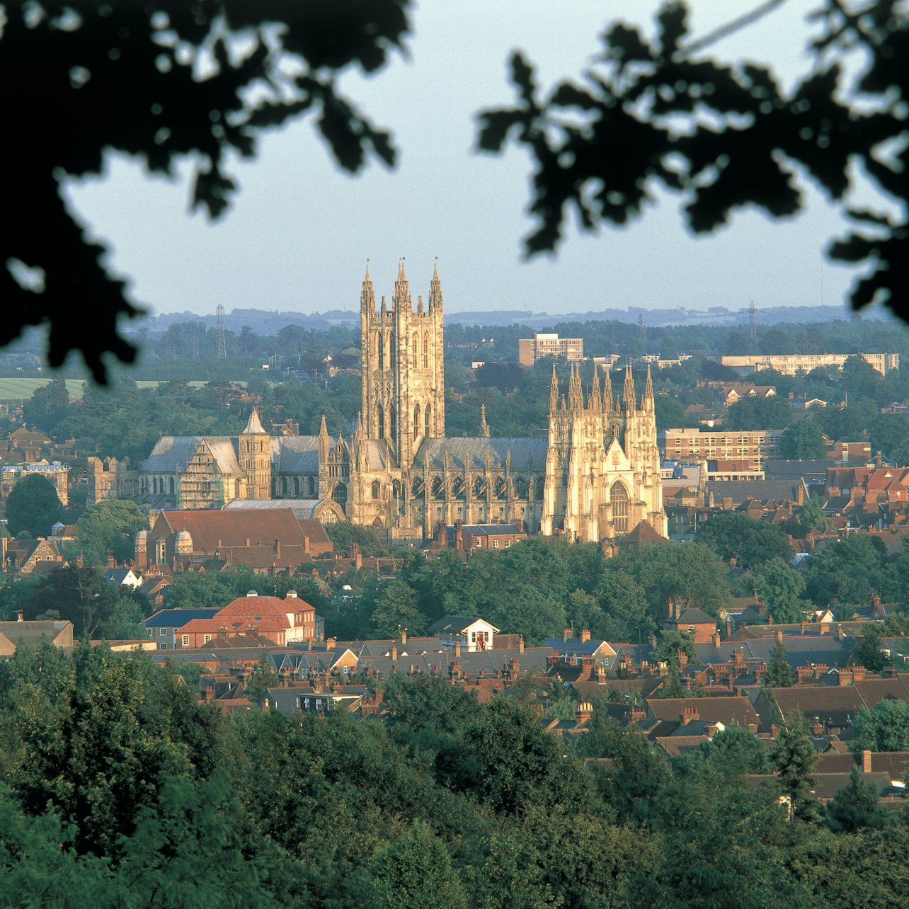 Leeds Castle, Canterbury Cathedral & Dover: Day Trip from London — gallery 2