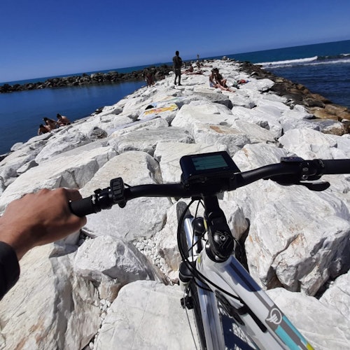 Pisa: Self-Guided Bike Tour — gallery 1
