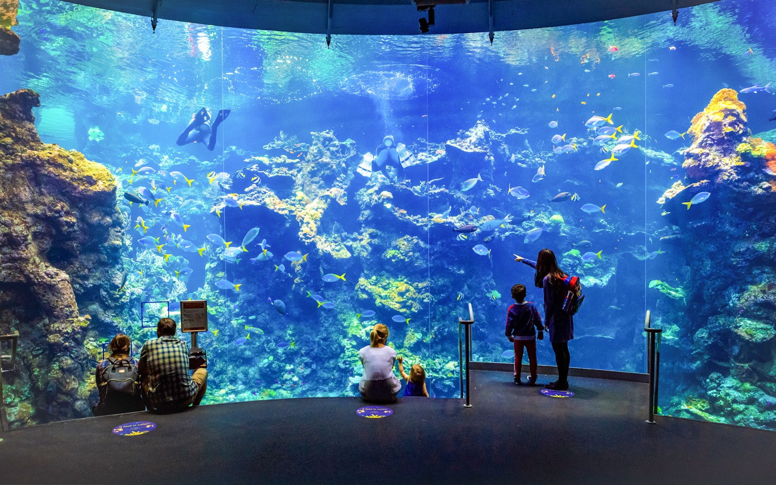 California Academy of Sciences Tickets