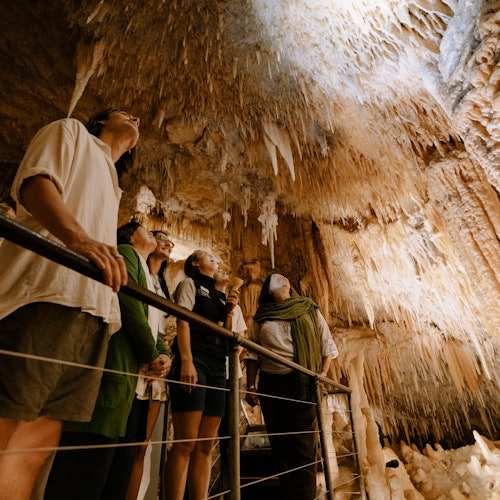 Jewel Cave Guided Tour in Western Australia