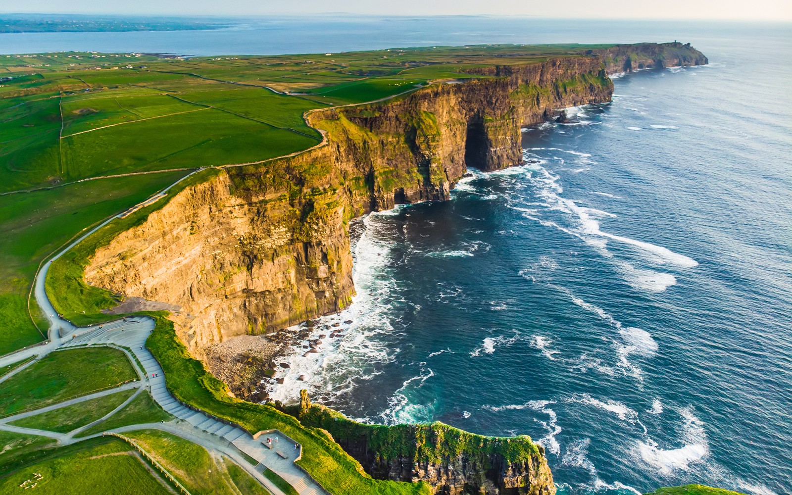 From Dublin: Birds of Prey, Aillwee Cave & Cliffs of Moher