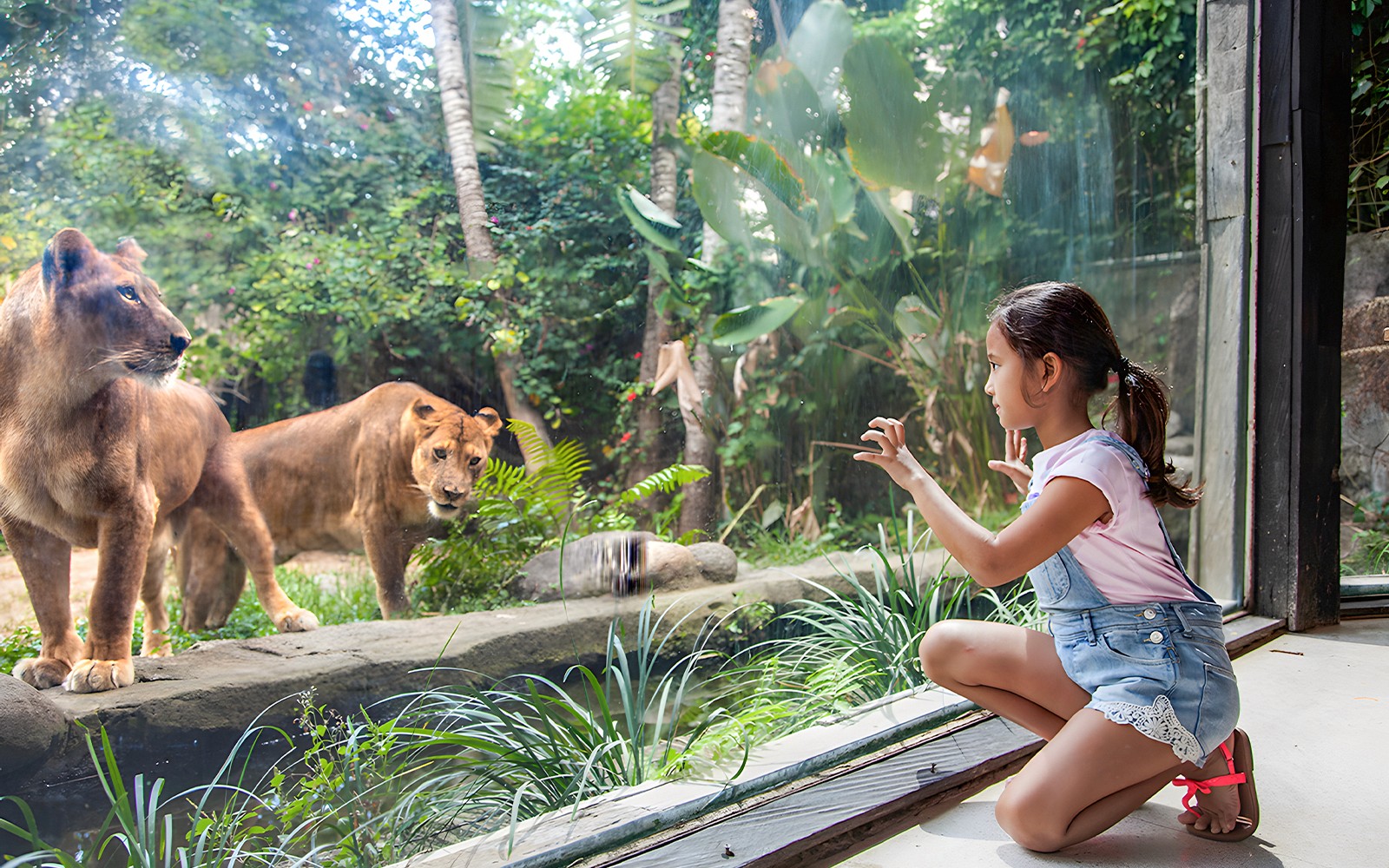 Bali Zoo Entry Tickets