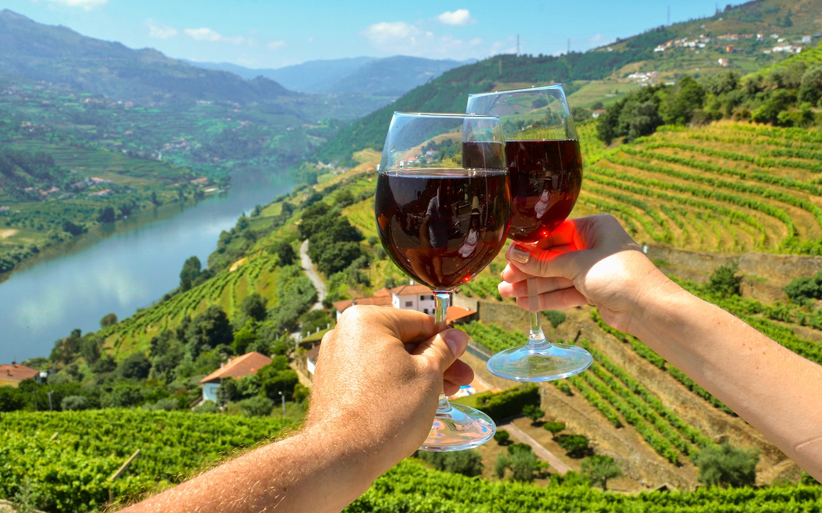 Classic Douro Valley Guided Tour with 1-Hour Pinhão Cruise, Traditional Lunch & Wine Tastings

