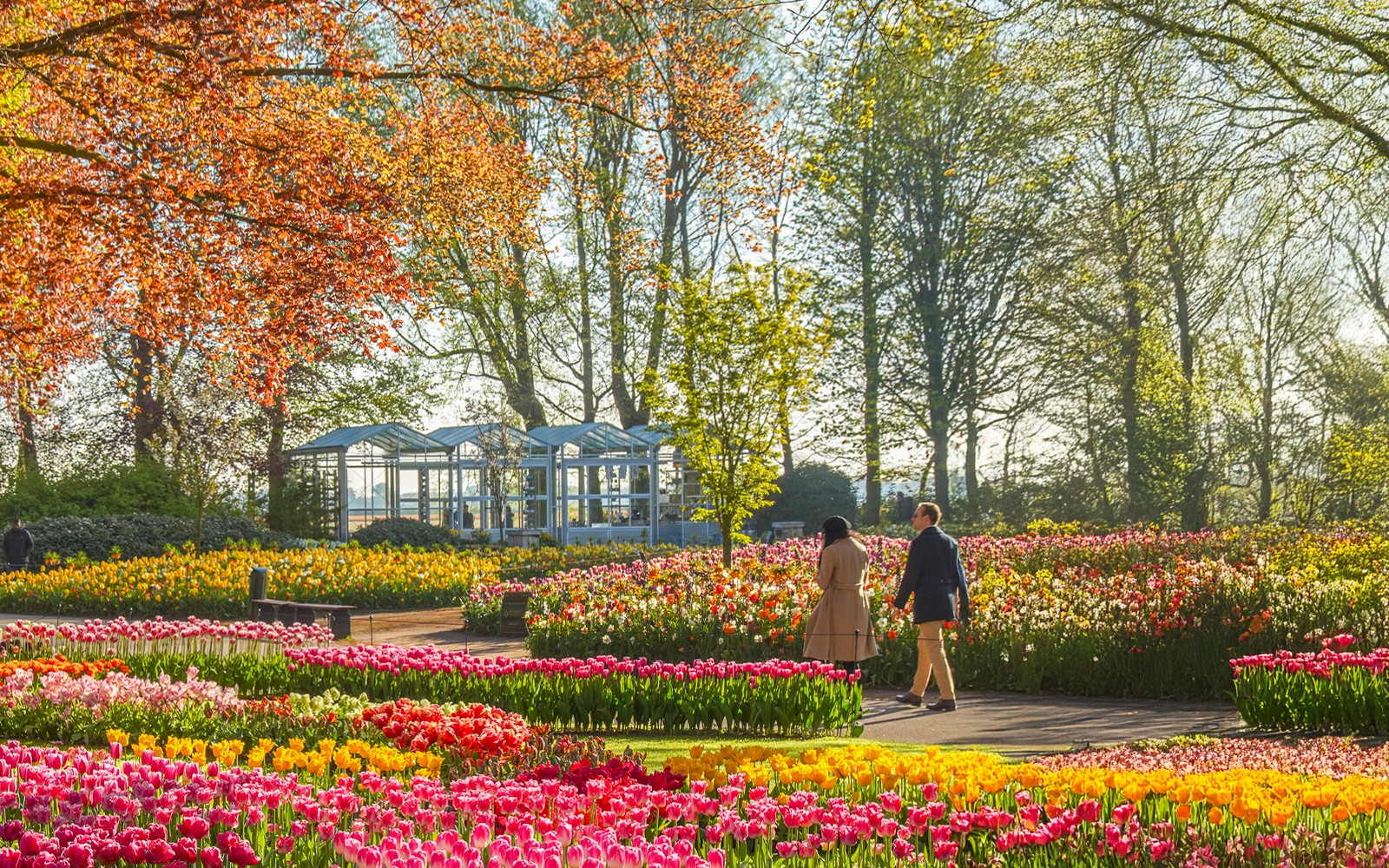 From Amsterdam: Keukenhof Expert Guided Tour with Round-Trip Transfers — gallery 3