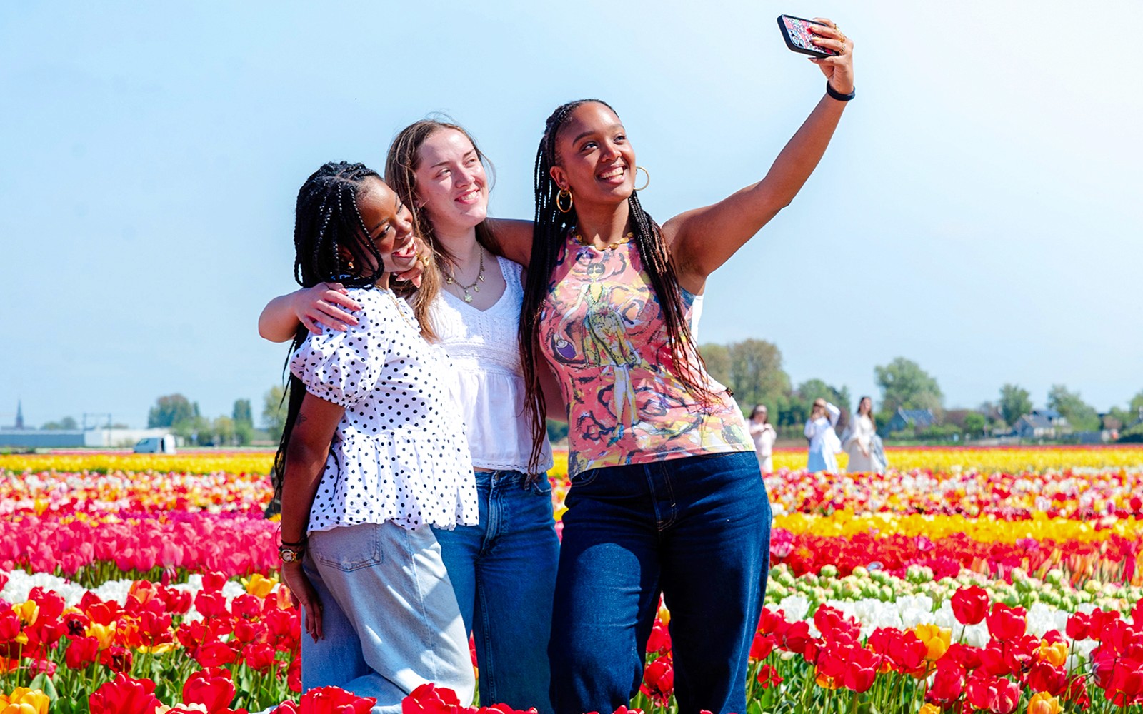 Tulip Experience Tickets with Tulip Fields Visit and Optional Transfers from Amsterdam
