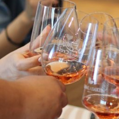 Ecobike: City Tour + Food Tasting & Wine Tasting — gallery 1
