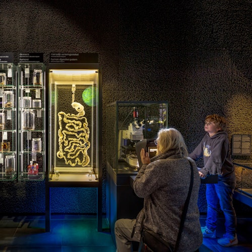 ARTIS Amsterdam Royal Zoo & Micropia: Skip The Line Entry Ticket — gallery 5
