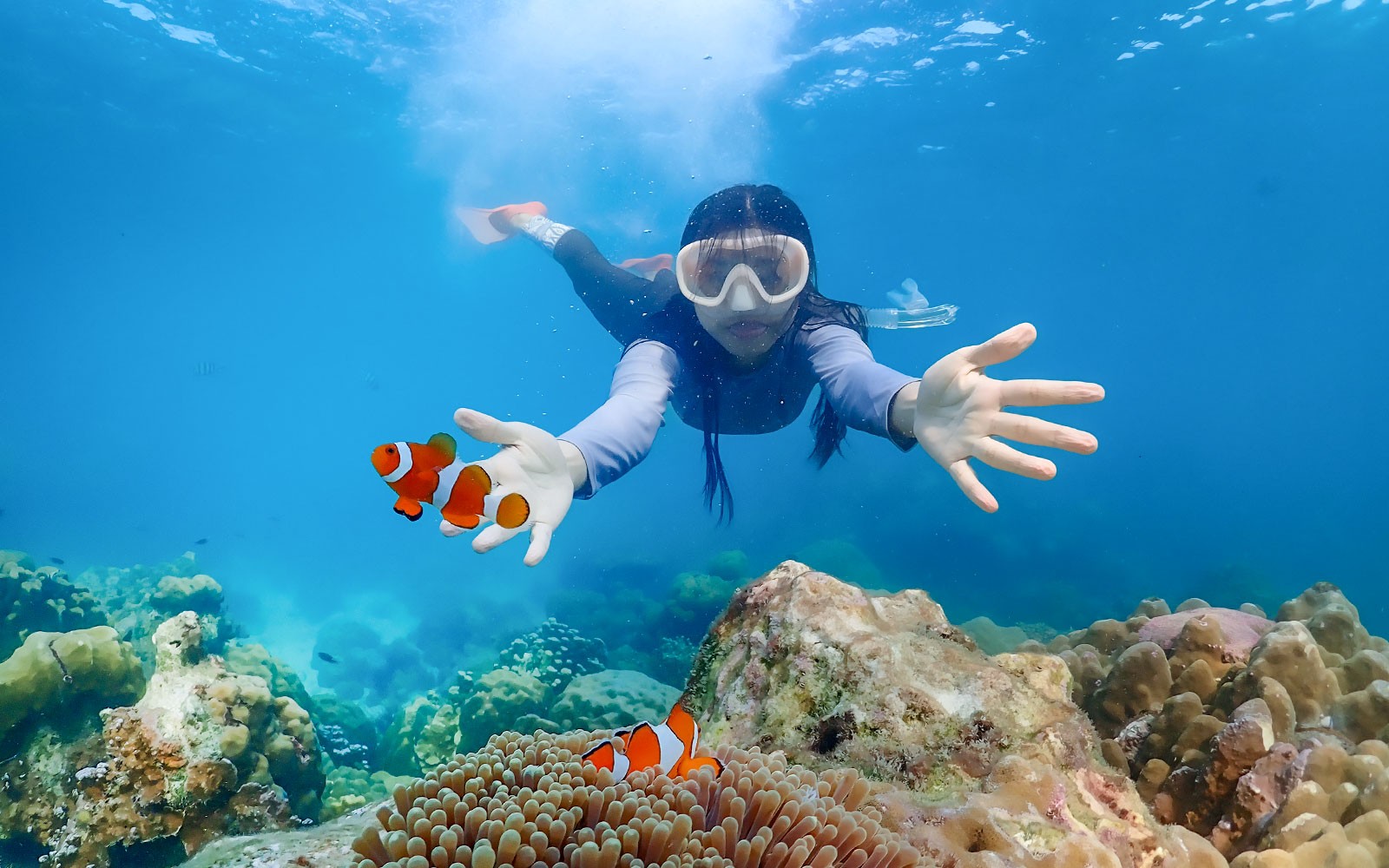 From Bangkok: Nemo Island Guided Tour with Lunch