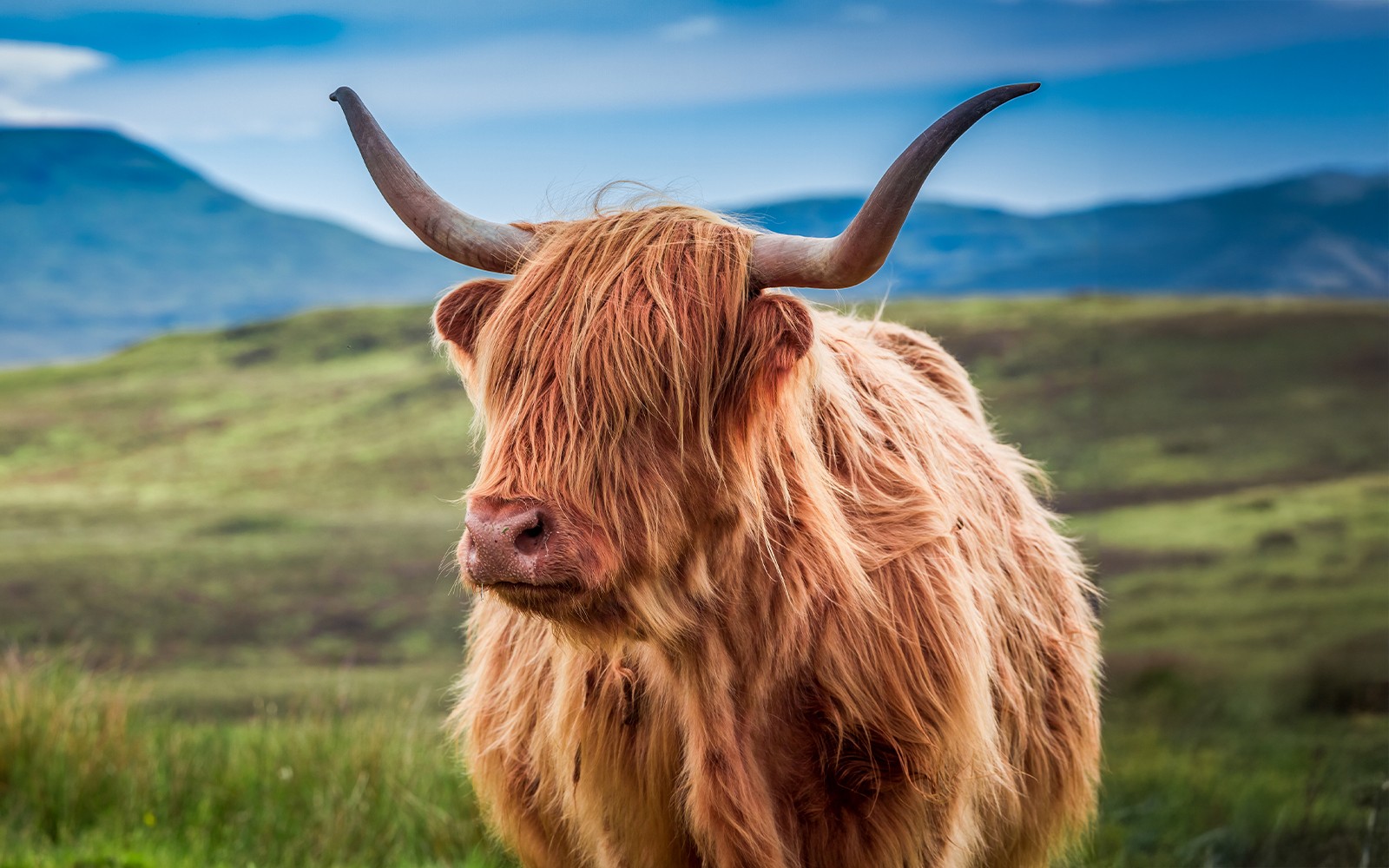 From Edinburgh: Loch Ness, Glencoe & The Highlands Day Trip