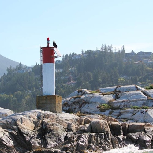 Vancouver: UNESCO Biosphere & Bowen Island Boat Tour — gallery 2