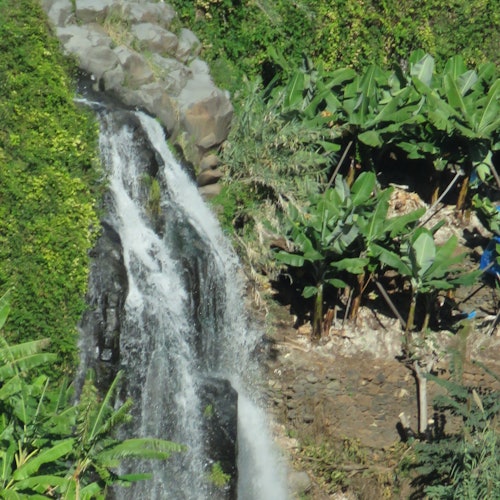 Southwest Madeira: Guided 4x4 Jeep Tour + Rum & Gin Distillery Visit — gallery 5