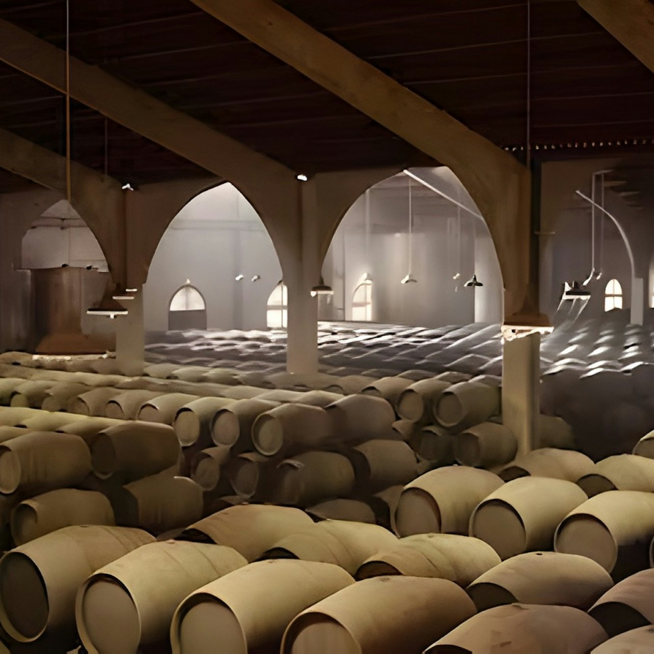 Jerez and Cadiz: Day Trip from Seville + Wine Tasting + Horse Show — gallery 1