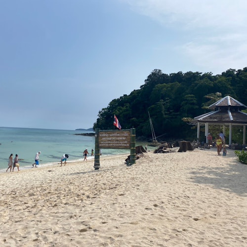 Phi Phi Island: One Day Tour By Longtail Boat — gallery 4