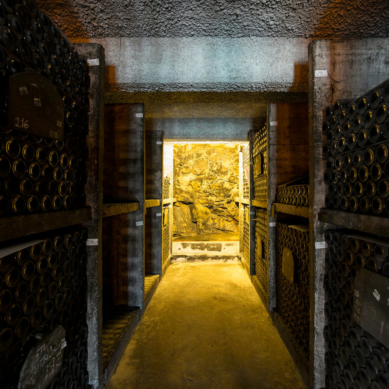 Porto Wine Tasting: Burmester Wine Cellars