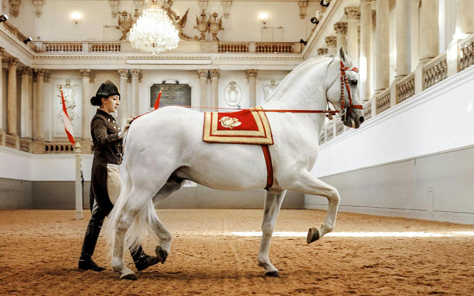 Spanish Riding School Performance Show (45 min)