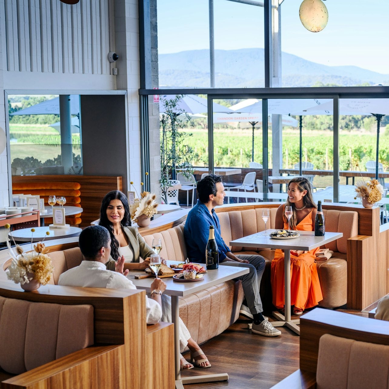 Yarra Valley: Guided Premium Lunch & Wine Tasting + Transfers