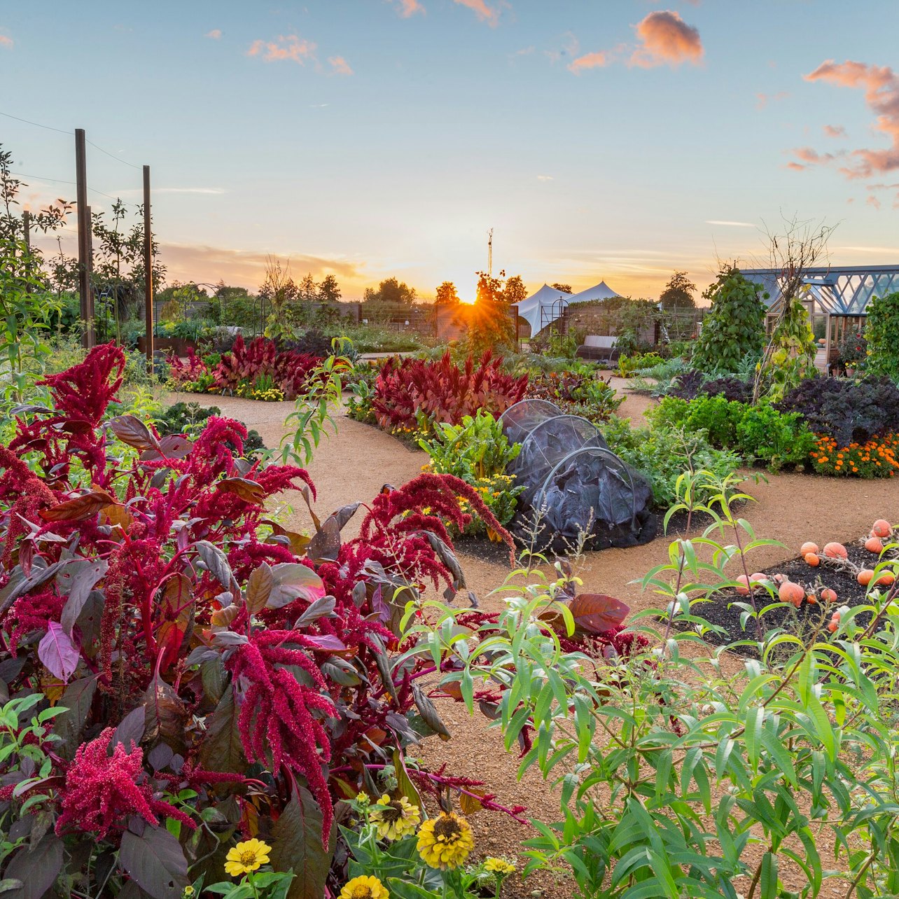 RHS Garden Wisley: Entry Ticket
