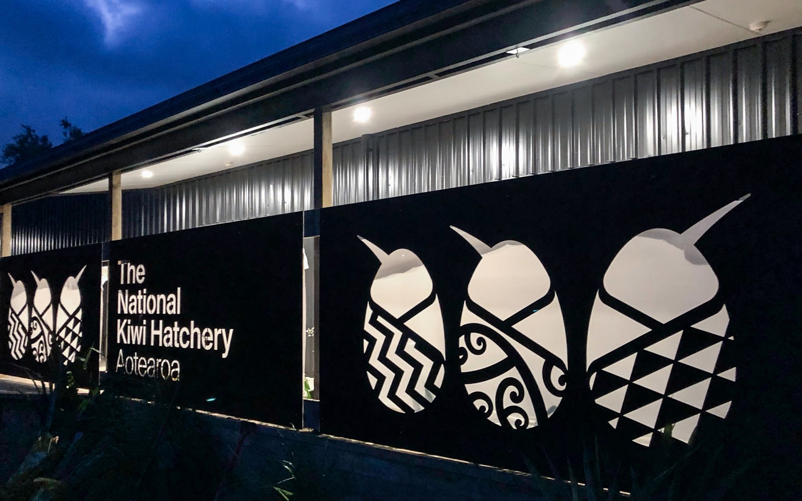 The National Kiwi Hatchery Tour — gallery 4