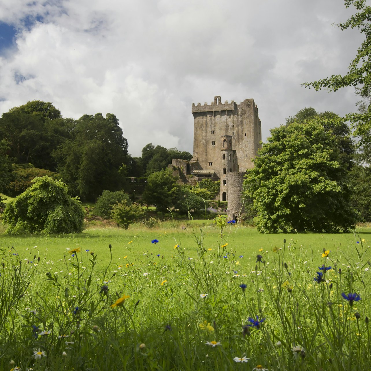 Cork & Blarney: Castle Day Tour from Dublin