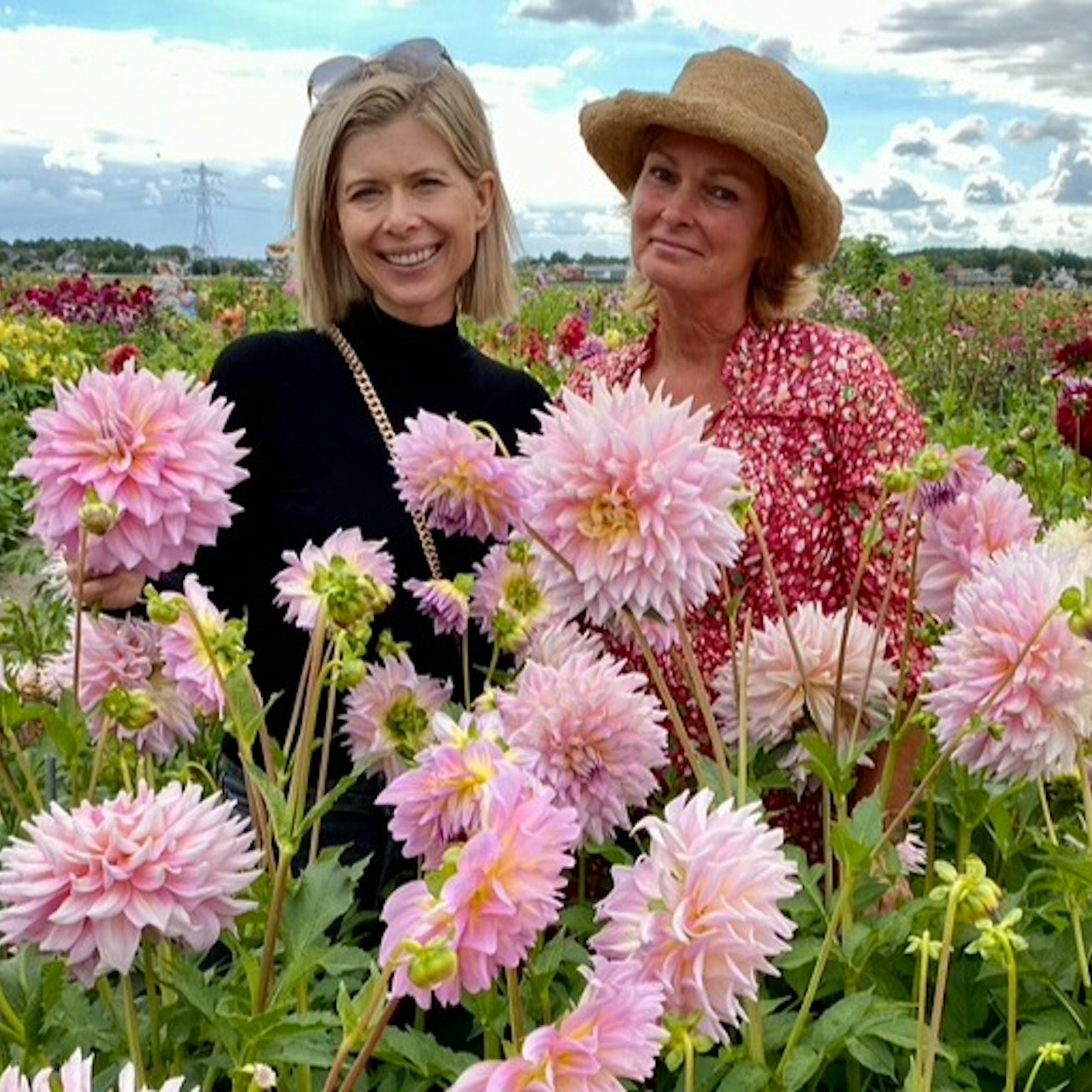 Summertime Flower Farm Tour & Windmill Cruise: Day Trip from Amsterdam — gallery 1