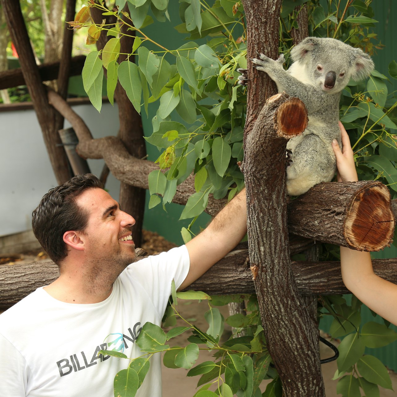 Port Douglas Wildlife Habitat