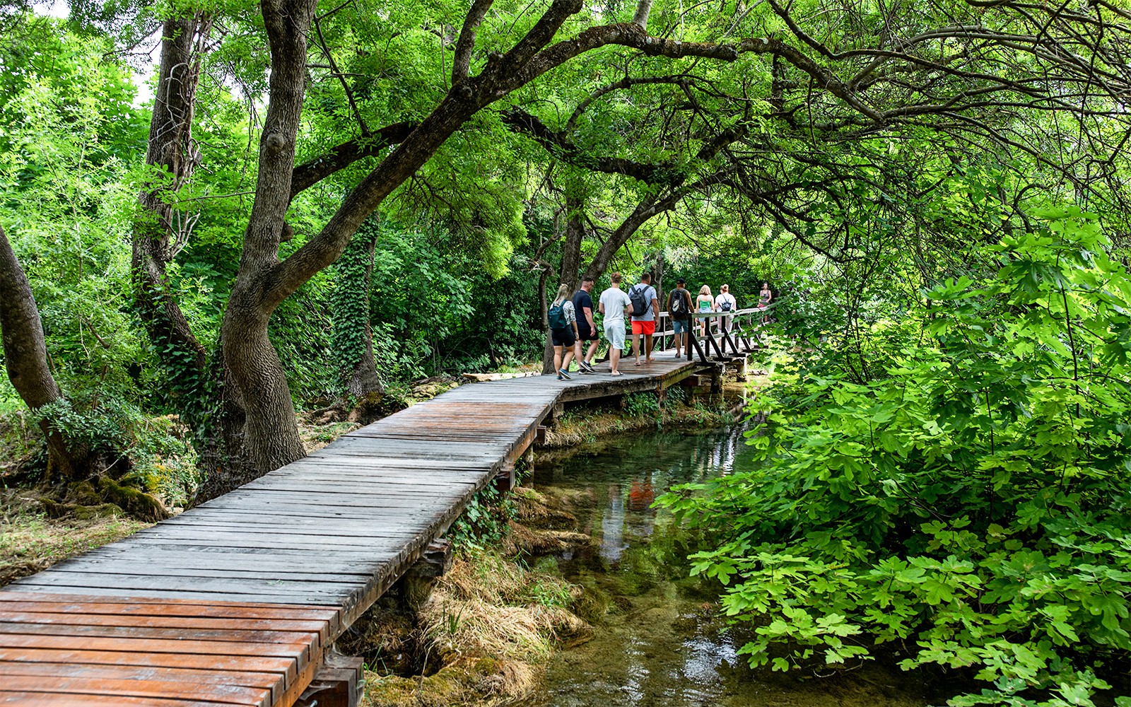 Krka National Park Full-Day Trip with Wine & Olive Oil Tasting