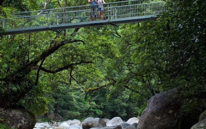 MOSSMAN GORGE DAINTREE EXPERIENCE