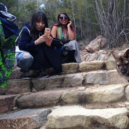 Freycinet National Park & Wineglass Bay: Small-Group Guided Tour — gallery 5