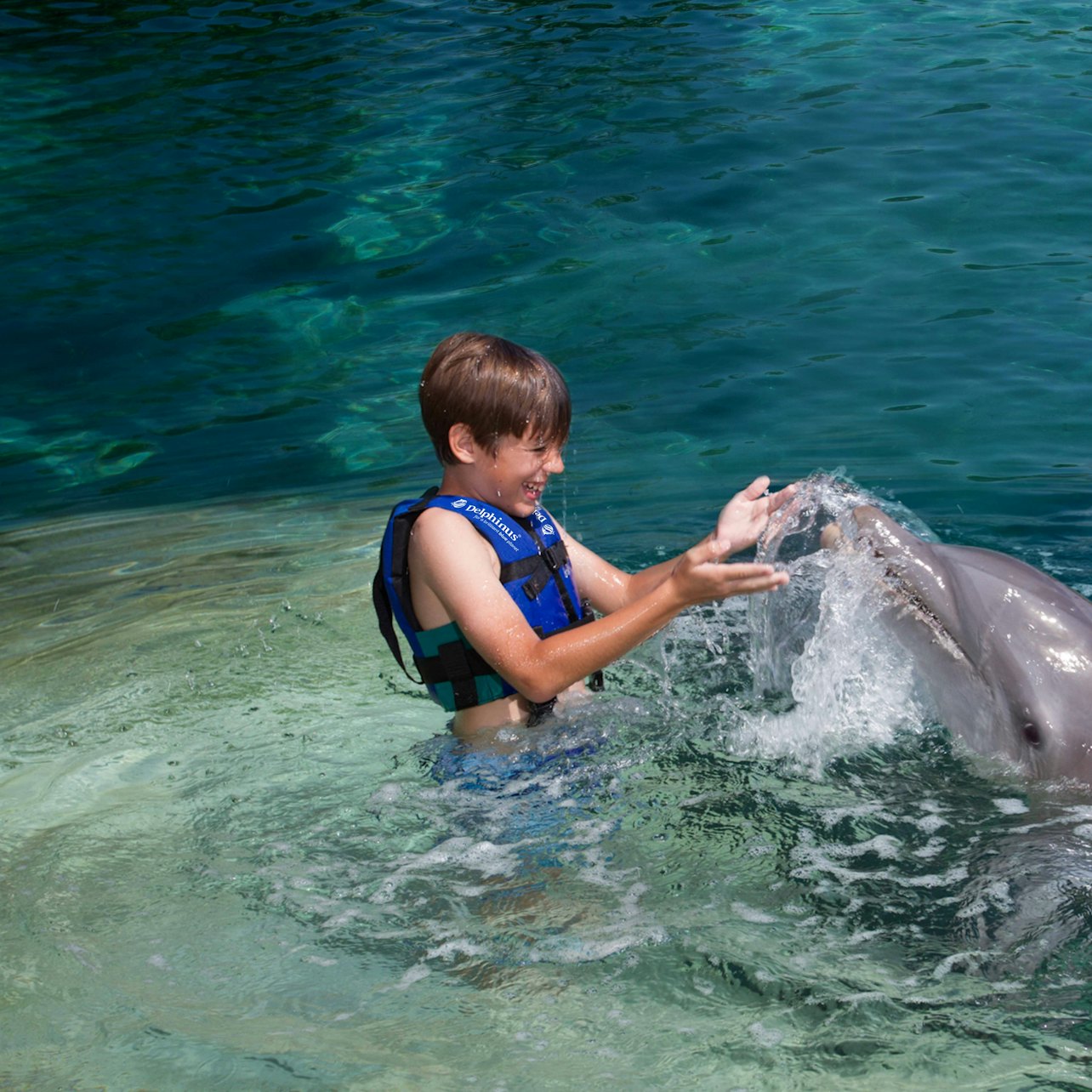 Delphinus Xcaret: Entry Ticket + Transfers + Swim with Dolphins