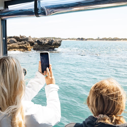Shoalwater: Dolphin, Sea Lion & Penguin Island Cruise