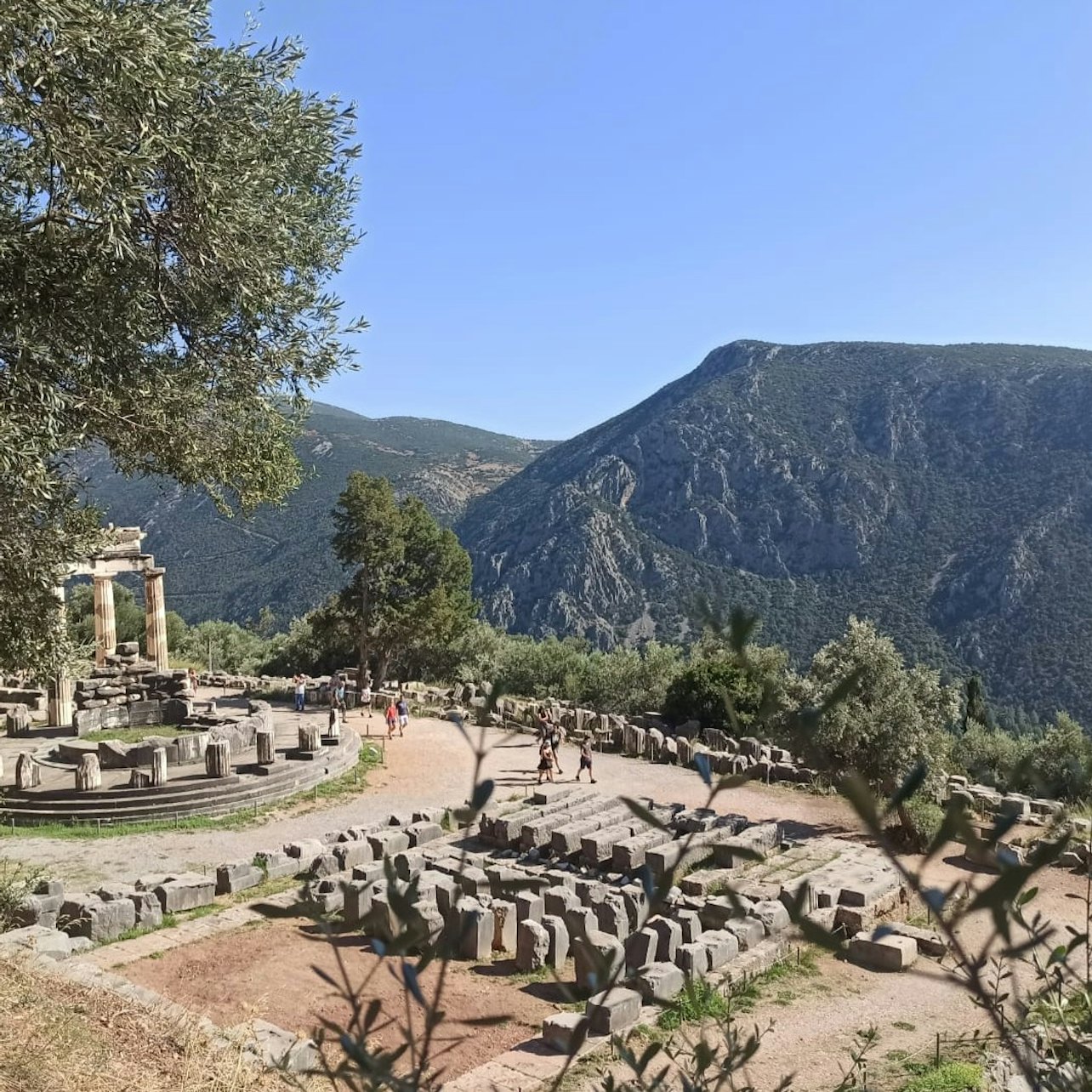Delphi: VR Tour + Transport from Athens (Without Entry) — gallery 2