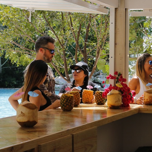 Bavaro Park: Buggy VIP Half Day Tour — gallery 3