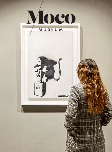 Moco Museum Barcelona Tickets: Banksy & More