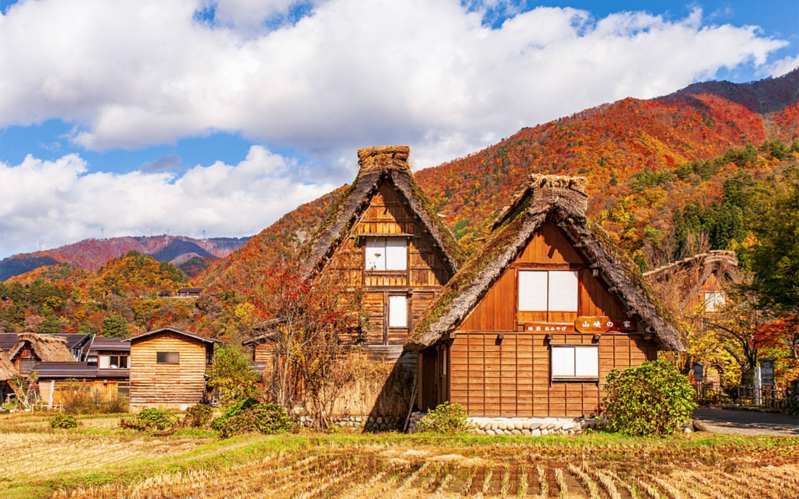 1-Day Guided Tour of Shiragawa-go and Takayama from Nagoya