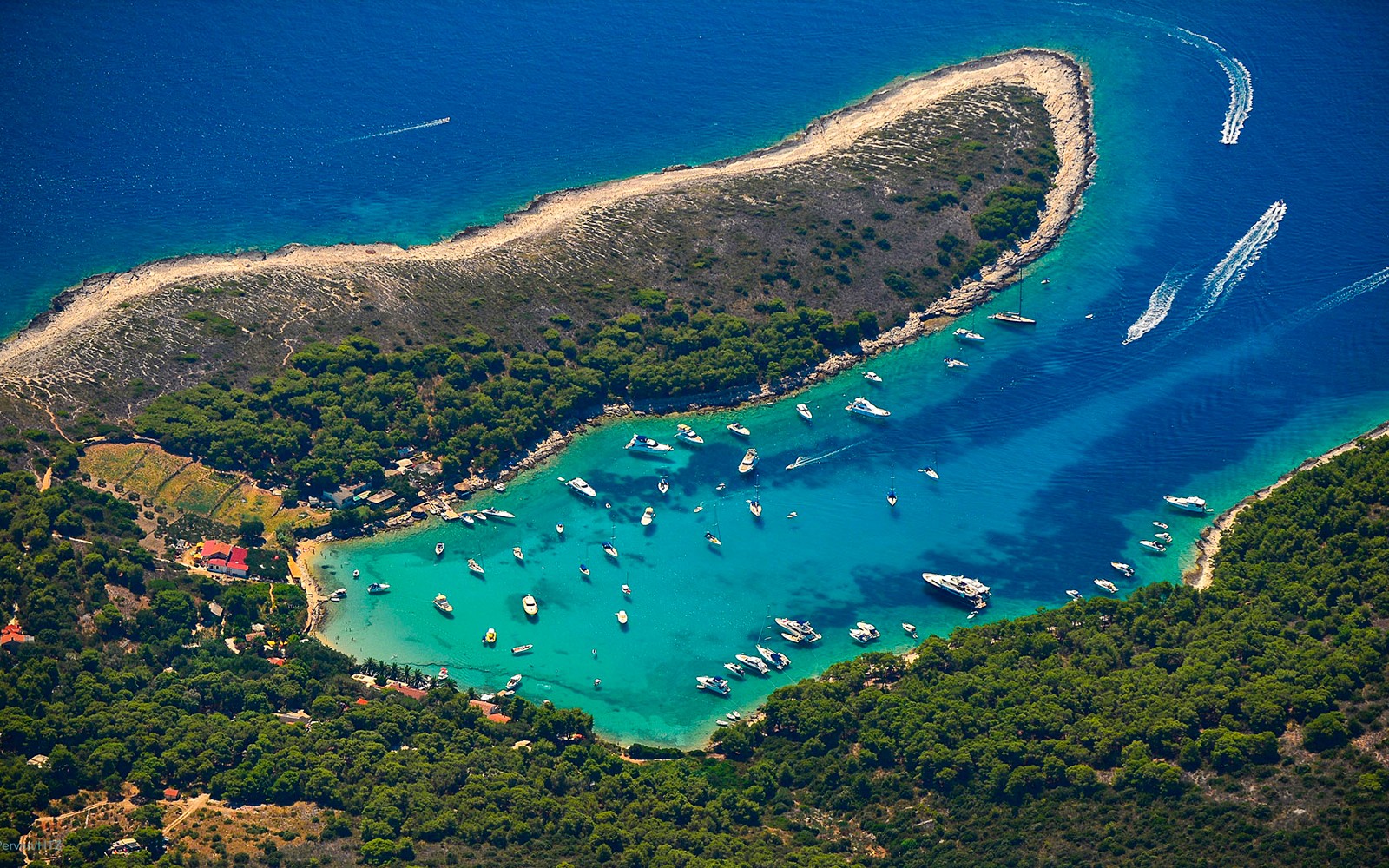 From Split: Full Day Tour to Blue Cave, Blue Lagoon & 5 Islands — gallery 3