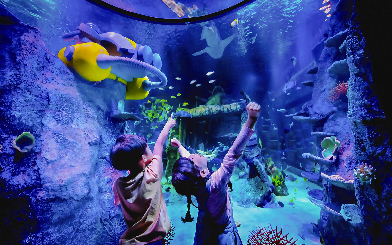 LEGOLAND® Malaysia SEA LIFE — gallery 3