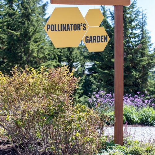Grouse Mountain: Summer Admission Ticket
