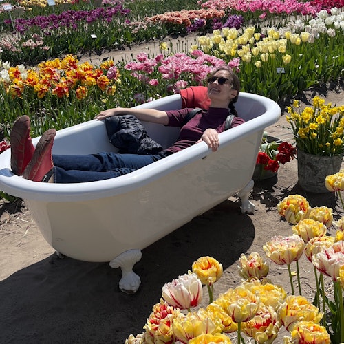 Amsterdam: Small Group Tulip Fields Bike Tour — gallery 4