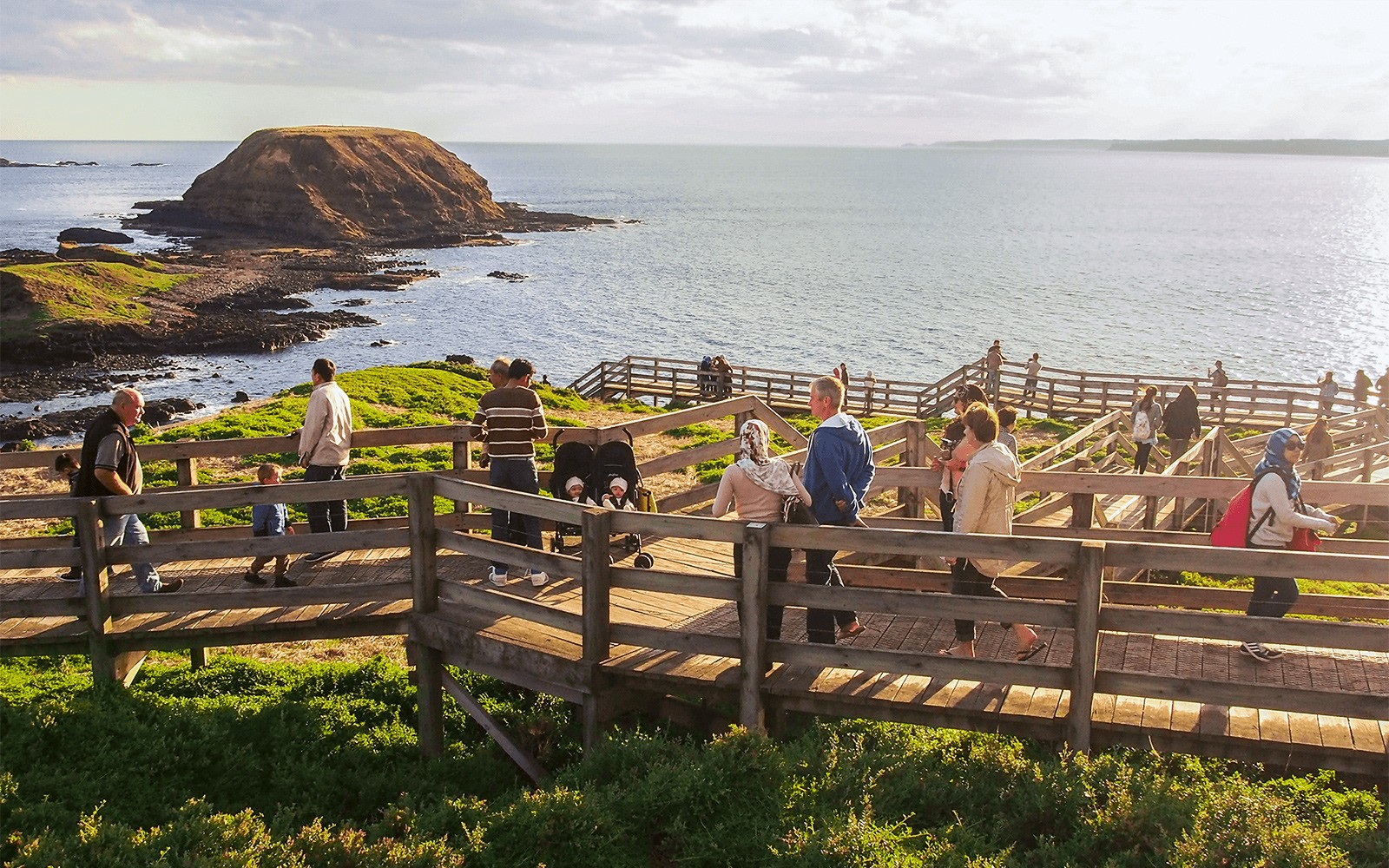 From Melbourne: Full-Day Guided Tour of Phillip Island Wildlife with Penguin Parade & Brighton Beach Boxes 