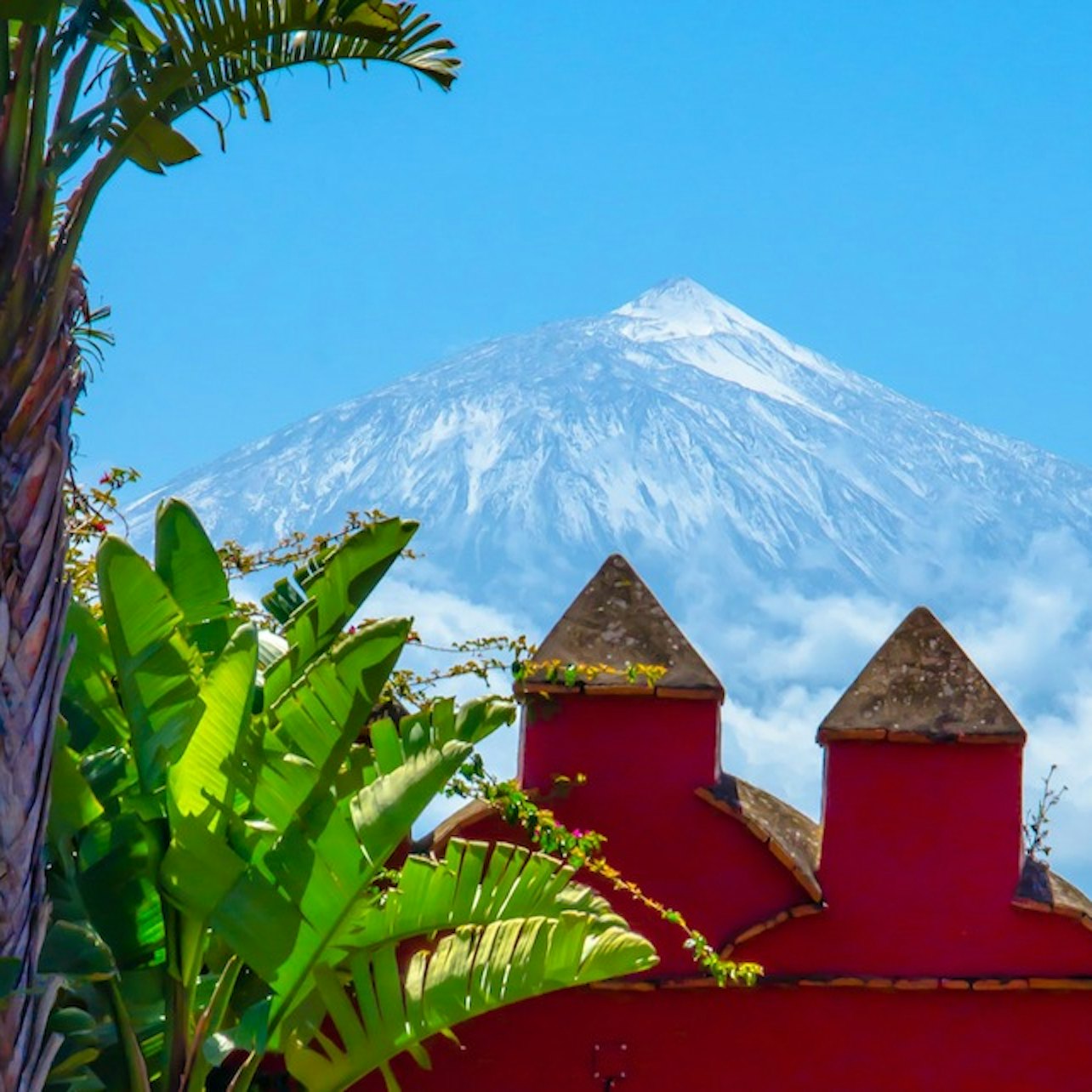 Museo del Vino de Tenerife: Visit and Tasting