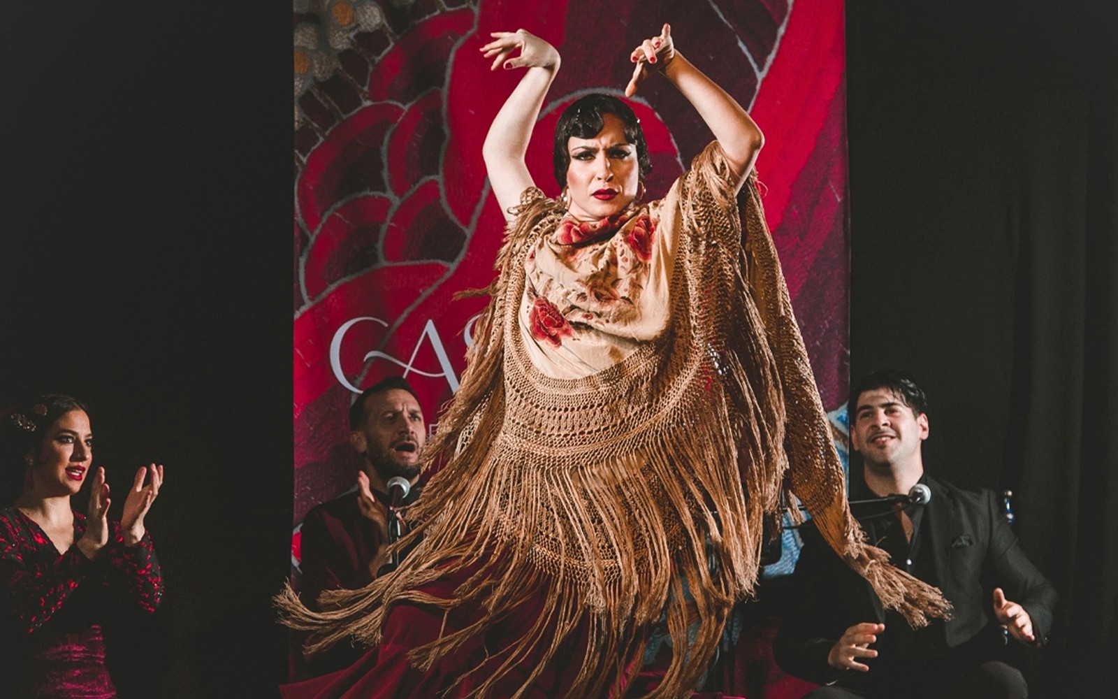 Casa Ana Flamenco Show — gallery 5